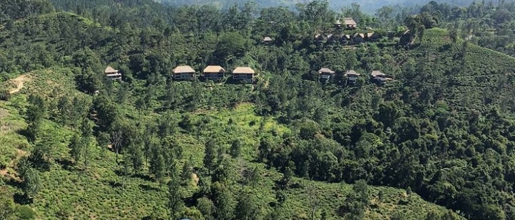 zip lines sri lanka