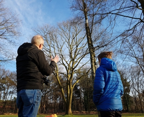 tree top zeist